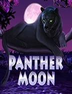 แอ พ แจก ส ปิ น เกม หมู: วิธีเล่นให้สนุกและได้เงิน