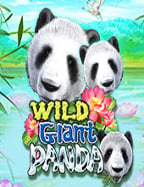 รีวิว chudjen bet เครดิตฟรี: สนุกสุดเหวี่ยงกับเกมสล็อต